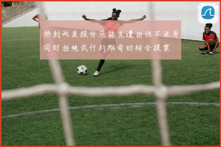 热刺两度报价范赫克遭拒仍不放弃同时拒绝武什科维奇的转会提案